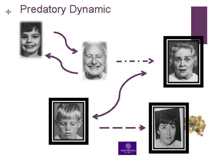 + Predatory Dynamic + Predatory Dynamic