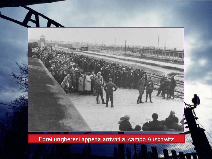 Ebrei ungheresi appena arrivati al campo Auschwitz 