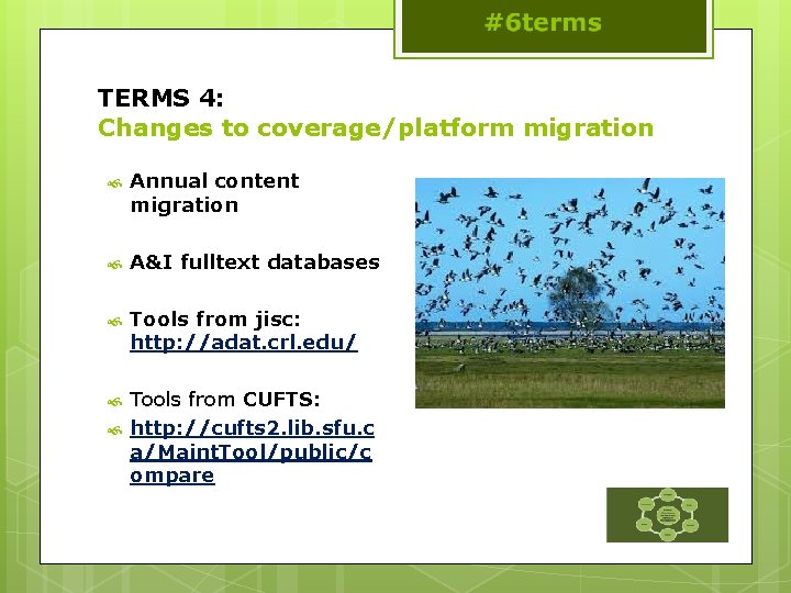 TERMS 4: Changes to coverage/platform migration Annual content migration A&I fulltext databases Tools from