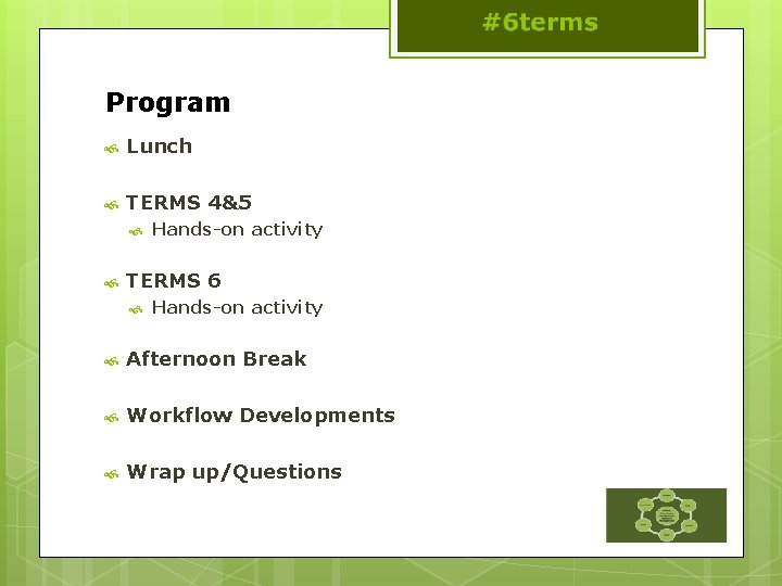 Program Lunch TERMS 4&5 Hands-on activity TERMS 6 Hands-on activity Afternoon Break Workflow Developments