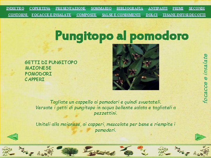 INDIETRO COPERTINA CONTORNI PRESENTAZIONE FOCACCE E INSALATE SOMMARIO COMPOSTE BIBLIOGRAFIA SALSE E CONDIMENTI ANTIPASTI