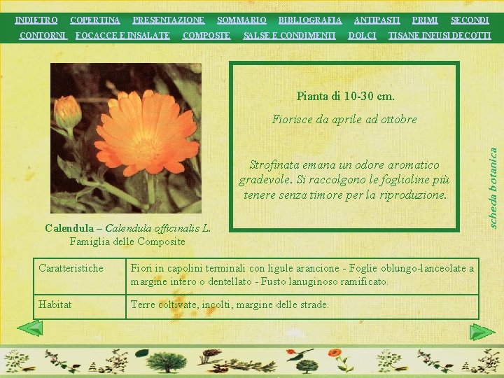 INDIETRO COPERTINA CONTORNI PRESENTAZIONE FOCACCE E INSALATE SOMMARIO COMPOSTE BIBLIOGRAFIA SALSE E CONDIMENTI ANTIPASTI