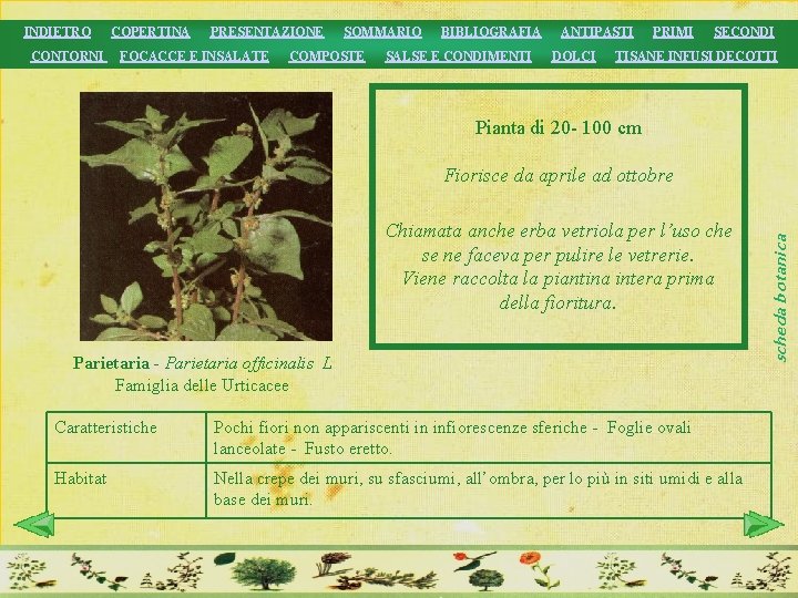 INDIETRO COPERTINA CONTORNI PRESENTAZIONE FOCACCE E INSALATE SOMMARIO COMPOSTE BIBLIOGRAFIA SALSE E CONDIMENTI ANTIPASTI