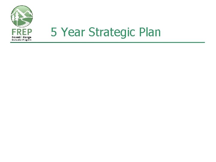 5 Year Strategic Plan 