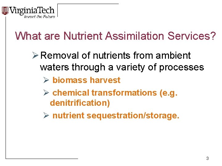 What are Nutrient Assimilation Services? Ø Removal of nutrients from ambient waters through a