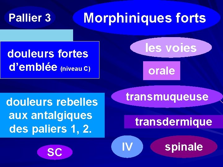 Pallier 3 Morphiniques forts les voies douleurs fortes d’emblée (niveau C) douleurs rebelles aux