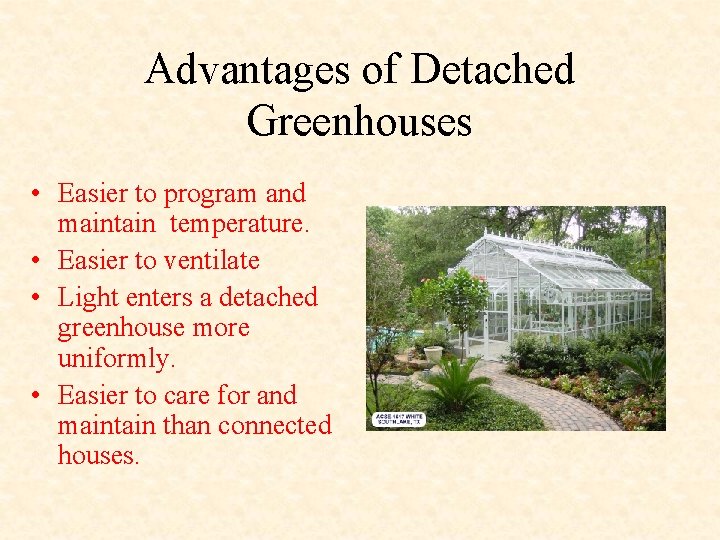 Advantages of Detached Greenhouses • Easier to program and maintain temperature. • Easier to