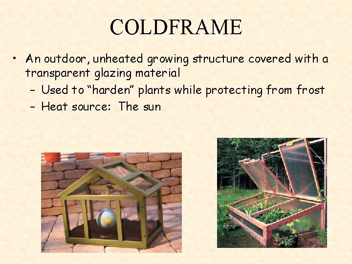 COLDFRAME • An outdoor, unheated growing structure covered with a transparent glazing material –