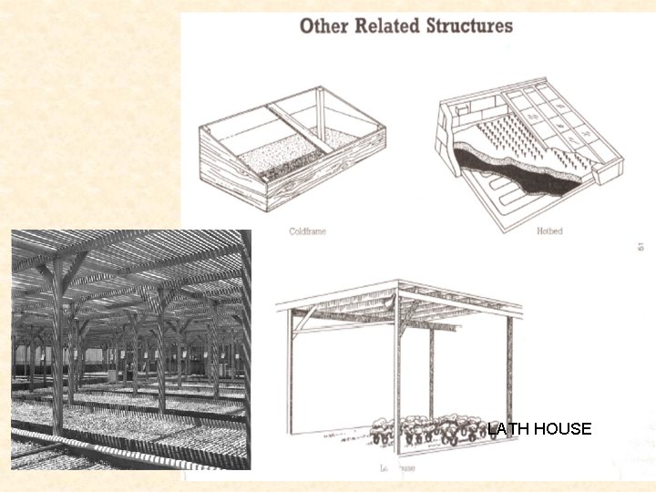 LATH HOUSE 