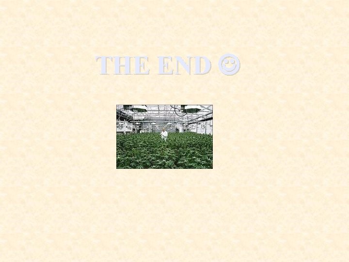 THE END 