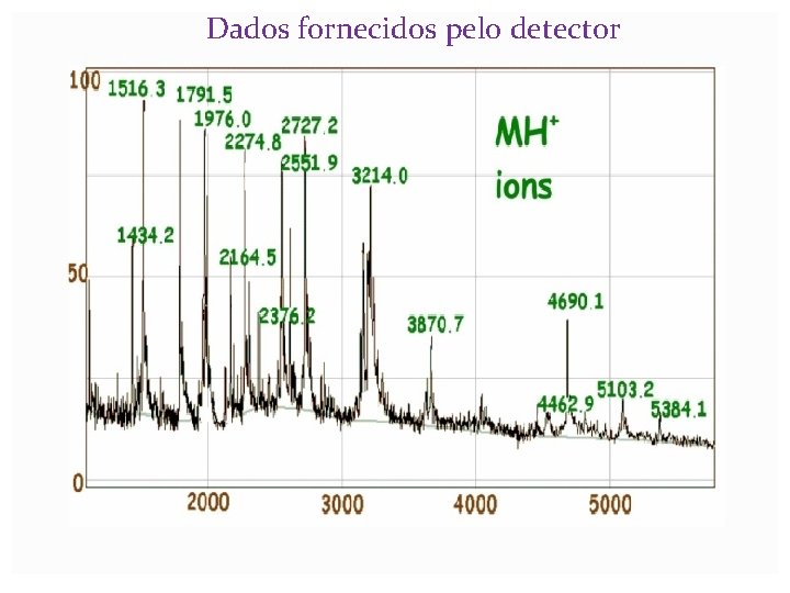 Dados fornecidos pelo detector 