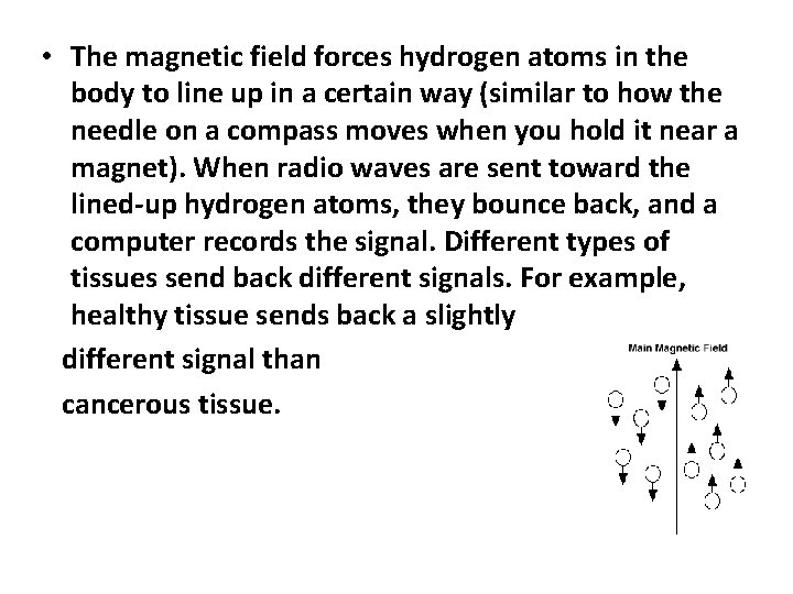  • The magnetic field forces hydrogen atoms in the body to line up