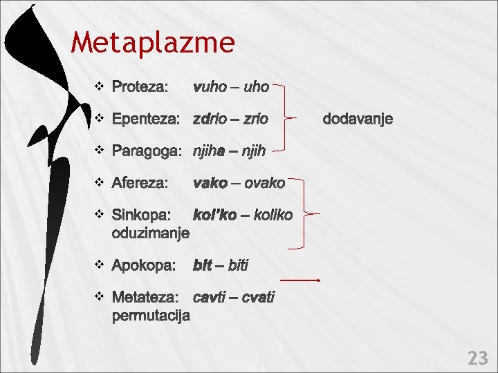 Metaplazme v v v v 23 