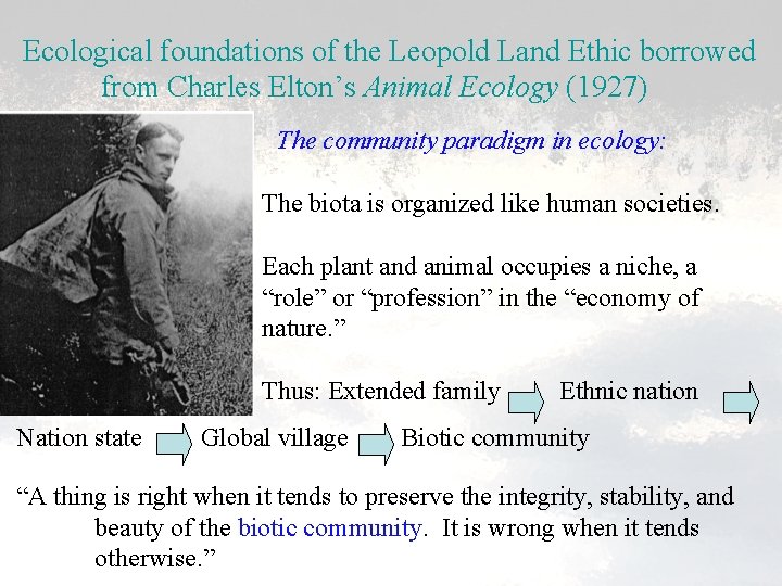 Ecological foundations of the Leopold Land Ethic borrowed from Charles Elton’s Animal Ecology (1927)