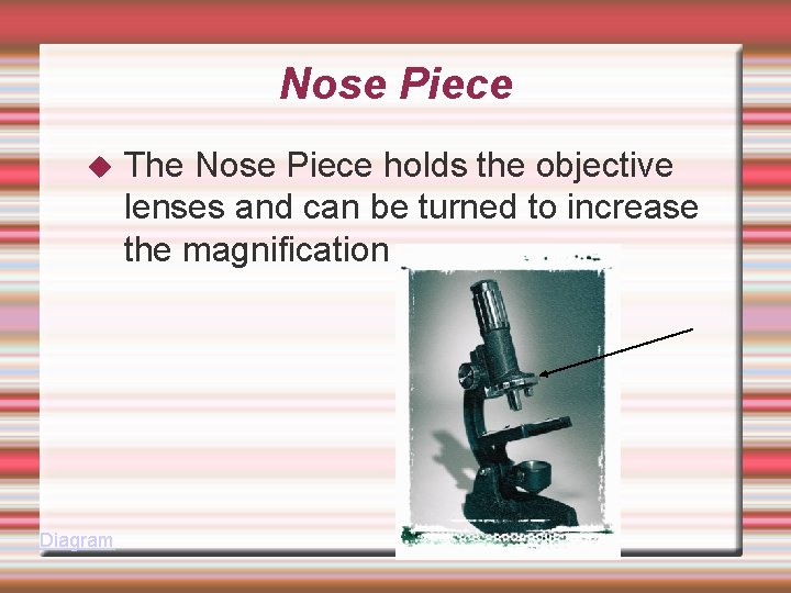 Nose Piece Diagram The Nose Piece holds the objective lenses and can be turned