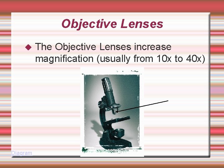 Objective Lenses Diagram The Objective Lenses increase magnification (usually from 10 x to 40