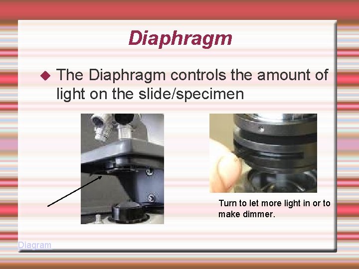 Diaphragm The Diaphragm controls the amount of light on the slide/specimen Turn to let