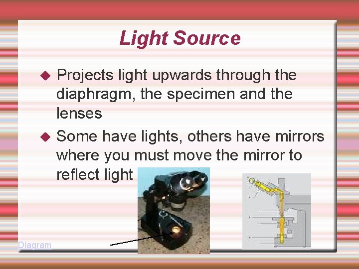 Light Source Diagram Projects light upwards through the diaphragm, the specimen and the lenses