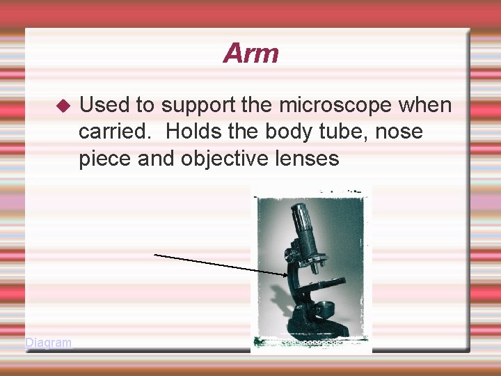 Arm Diagram Used to support the microscope when carried. Holds the body tube, nose