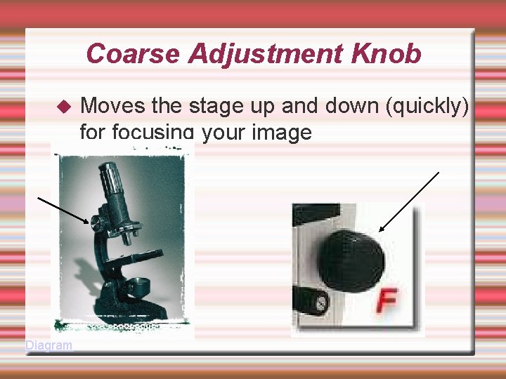 Coarse Adjustment Knob Diagram Moves the stage up and down (quickly) for focusing your
