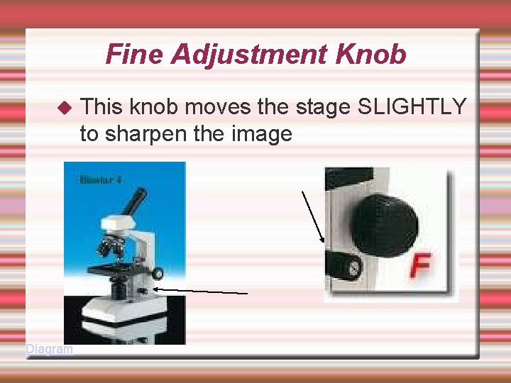 Fine Adjustment Knob Diagram This knob moves the stage SLIGHTLY to sharpen the image