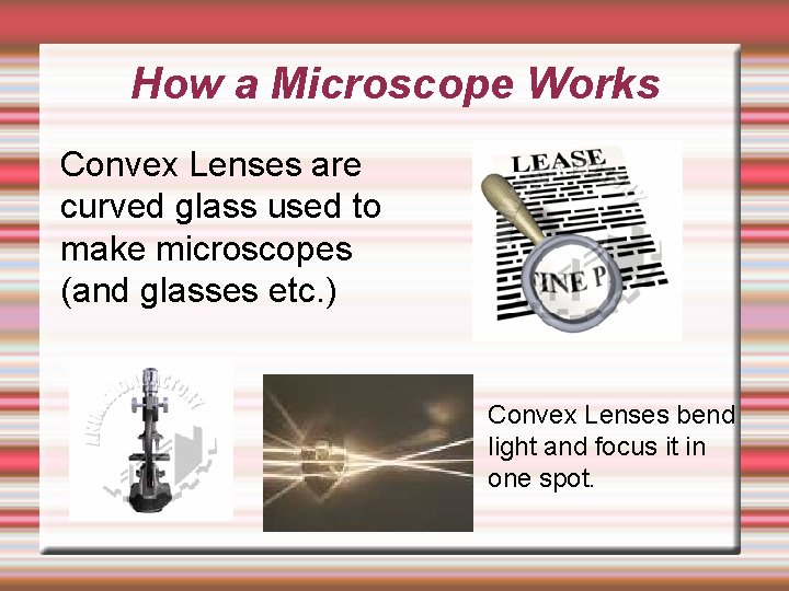 How a Microscope Works Convex Lenses are curved glass used to make microscopes (and
