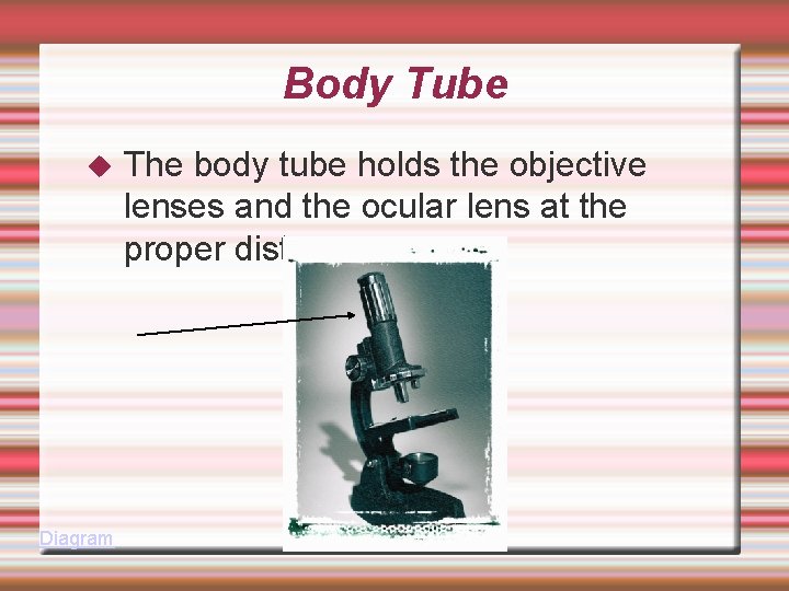 Body Tube Diagram The body tube holds the objective lenses and the ocular lens