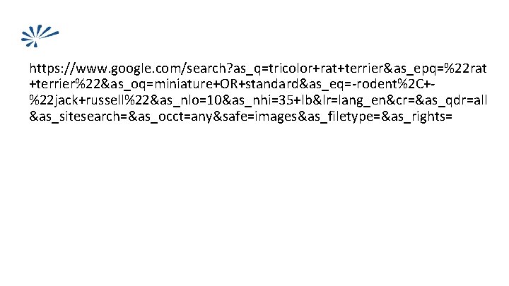 Structure of Queries https: //www. google. com/search? as_q=tricolor+rat+terrier&as_epq=%22 rat +terrier%22&as_oq=miniature+OR+standard&as_eq=-rodent%2 C+%22 jack+russell%22&as_nlo=10&as_nhi=35+lb&lr=lang_en&cr=&as_qdr=all &as_sitesearch=&as_occt=any&safe=images&as_filetype=&as_rights= 