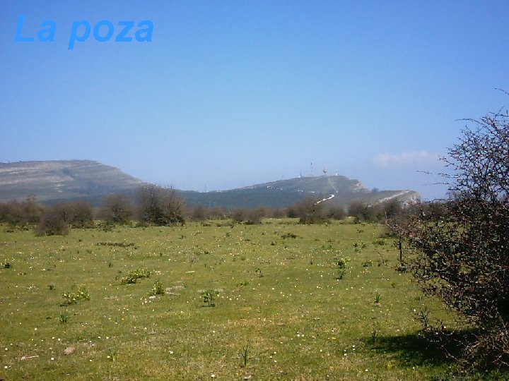 La poza 