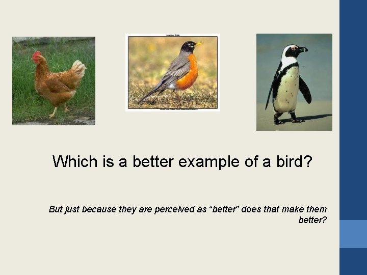 Which is a better example of a bird? But just because they are perceived