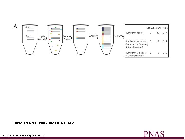 Shiroguchi K et al. PNAS 2012; 109: 1347 -1352 © 2012 by National Academy