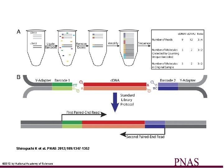 Shiroguchi K et al. PNAS 2012; 109: 1347 -1352 © 2012 by National Academy