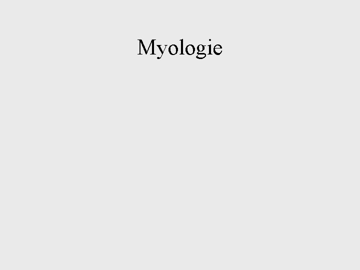 Myologie 