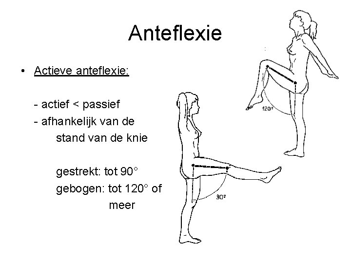 Anteflexie • Actieve anteflexie: - actief < passief - afhankelijk van de stand van