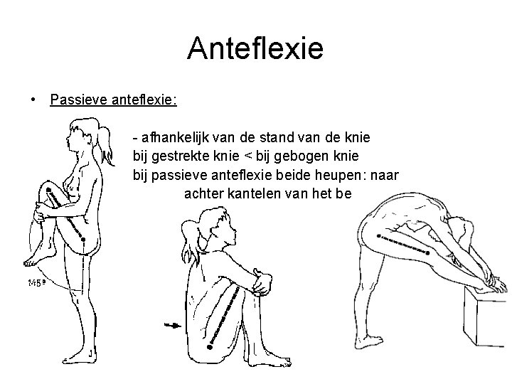 Anteflexie • Passieve anteflexie: - afhankelijk van de stand van de knie bij gestrekte