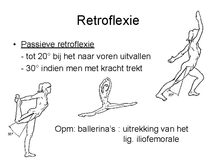 Retroflexie • Passieve retroflexie - tot 20° bij het naar voren uitvallen - 30°