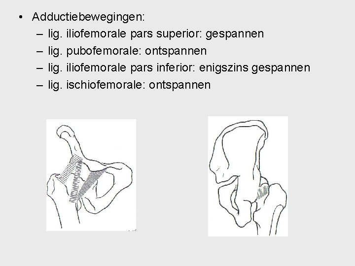  • Adductiebewegingen: – lig. iliofemorale pars superior: gespannen – lig. pubofemorale: ontspannen –