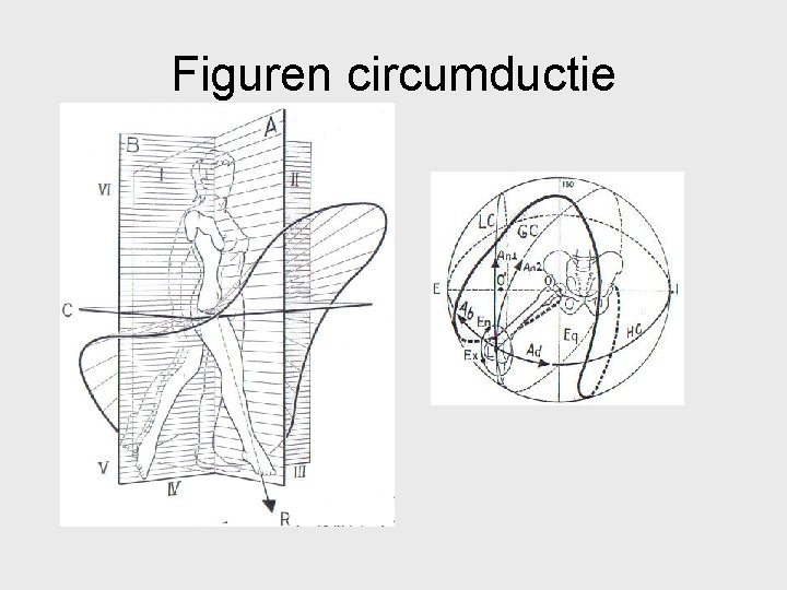 Figuren circumductie 