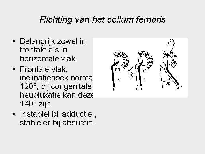 Richting van het collum femoris • Belangrijk zowel in frontale als in horizontale vlak.