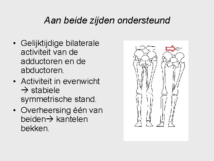 Aan beide zijden ondersteund • Gelijktijdige bilaterale activiteit van de adductoren en de abductoren.