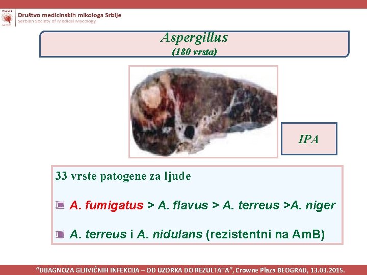 Aspergillus (180 vrsta) IPA 33 vrste patogene za ljude A. fumigatus > A. flavus