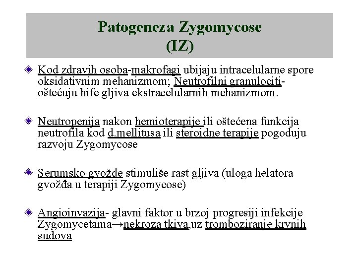 Patogeneza Zygomycose (IZ) Kod zdravih osoba-makrofagi ubijaju intracelularne spore oksidativnim mehanizmom; Neutrofilni granulocitioštećuju hife