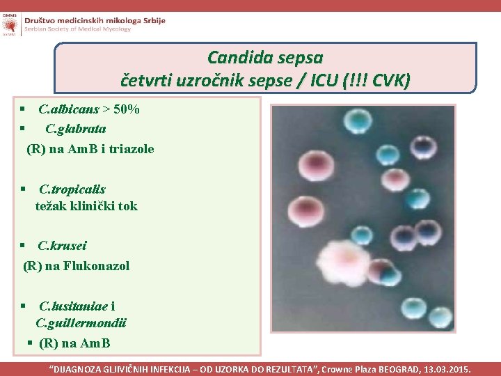 Candida sepsa četvrti uzročnik sepse / ICU (!!! CVK) § C. albicans > 50%