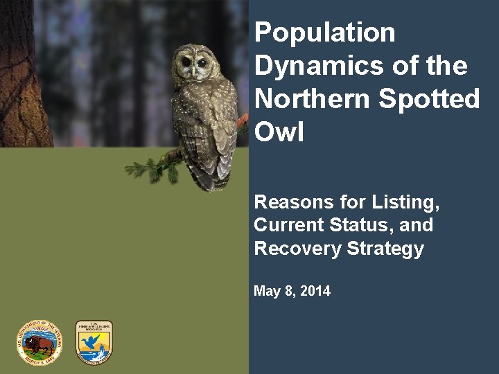 Population Dynamics of the Northern Spotted Owl Reasons for Listing, Current Status, and Recovery
