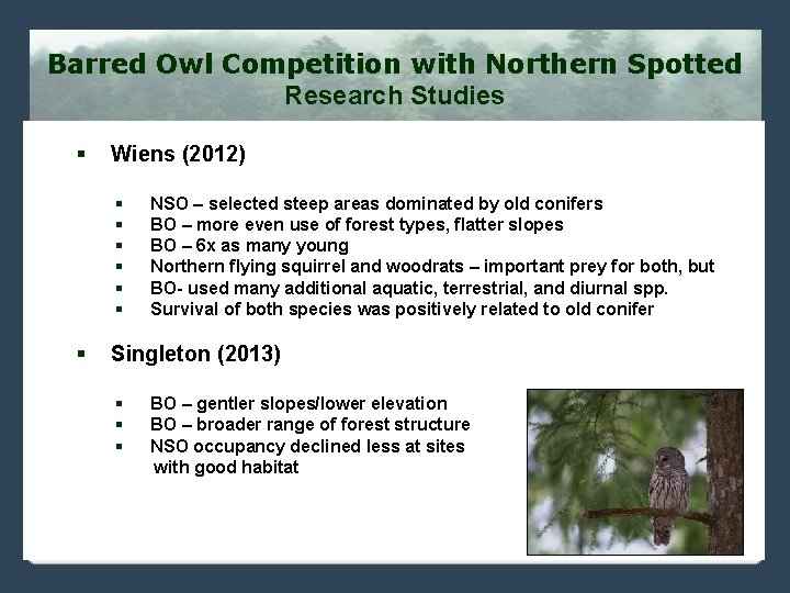 Barred Owl Competition with Northern Spotted Research Studies § Wiens (2012) § Kelly et