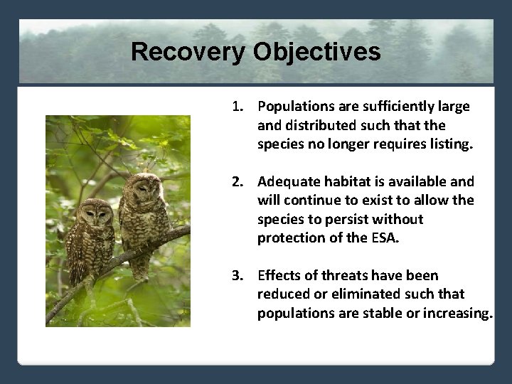 Recovery Objectives 1. Populations are sufficiently large and distributed such that the species no