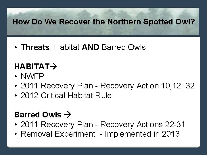 How Do We Recover the Northern Spotted Owl? • Threats: Habitat AND Barred Owls