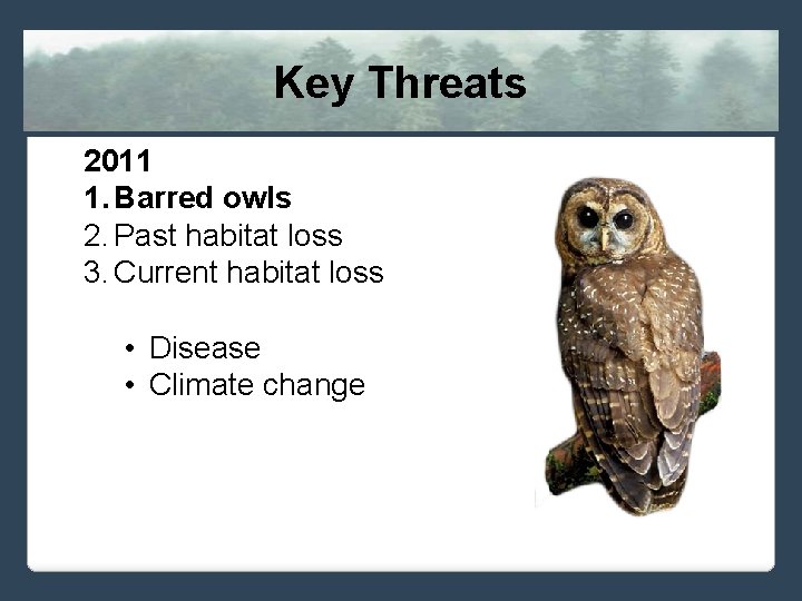 Key Threats 2011 1. Barred owls 2. Past habitat loss 3. Current habitat loss
