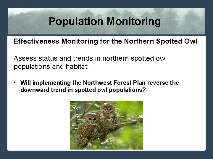 Population Monitoring Effectiveness Monitoring for the Northern Spotted Owl Assess status and trends in