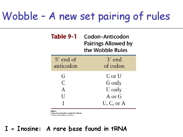 Wobble – A new set pairing of rules I = Inosine: A rare base